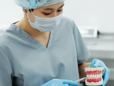 A doctor showing a TMJ patient a model of the mouth
